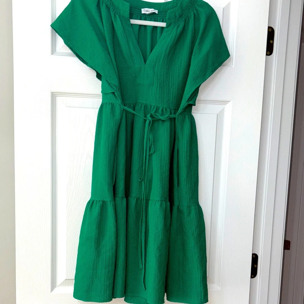 Calvin Klein Green Dress - Picture 1 of 3